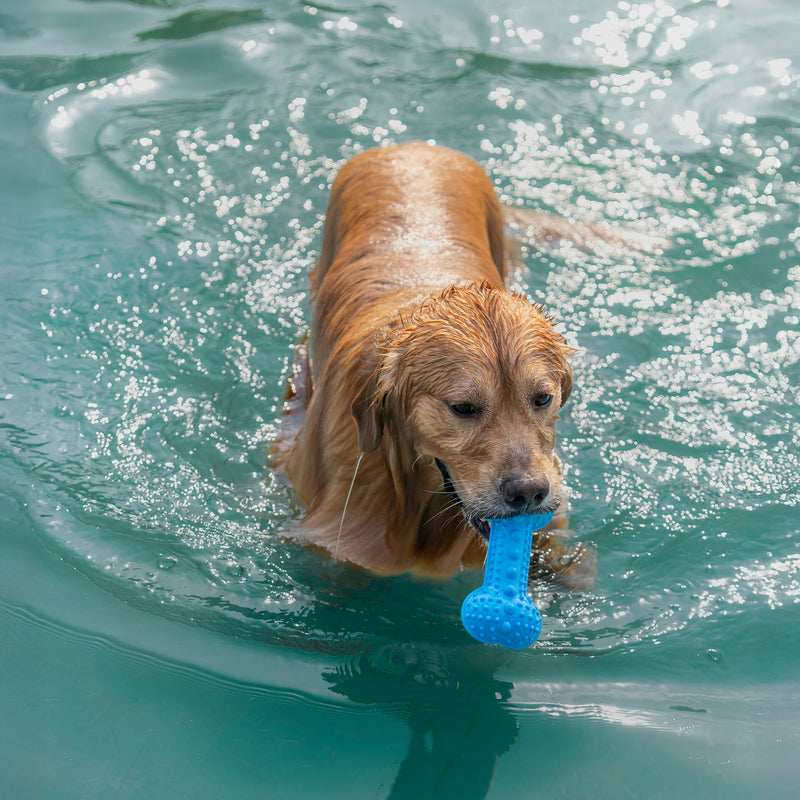Dash Dog Softy Spiker Toy For Dog - Blue - Heads Up For Tails