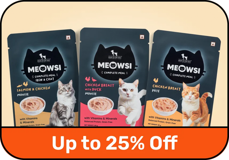 Shop Meowsi →