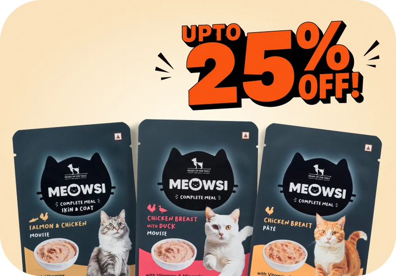 Shop Meowsi →