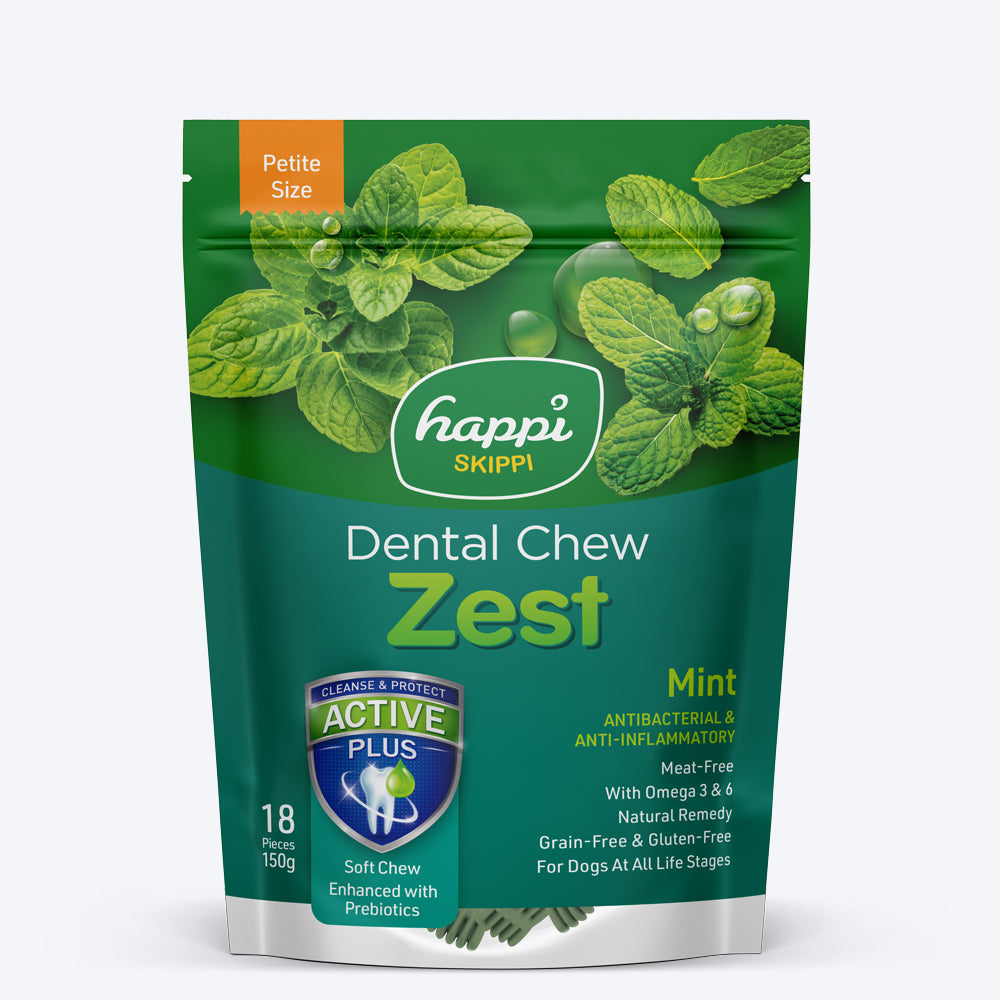 Happi Skippi Vegetarian Dental Chew - Zest - Mint - Petite - 2.5 inch - 150 g - 18 Pieces