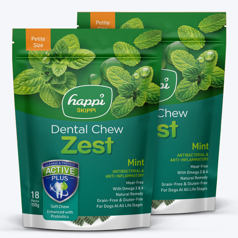 Happi Skippi Vegetarian Dental Chew - Zest - Mint - Petite - 2.5 inch - 150 g - 18 Pieces