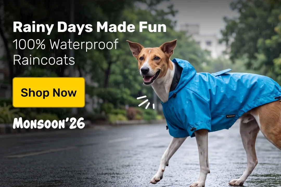 Monsoon