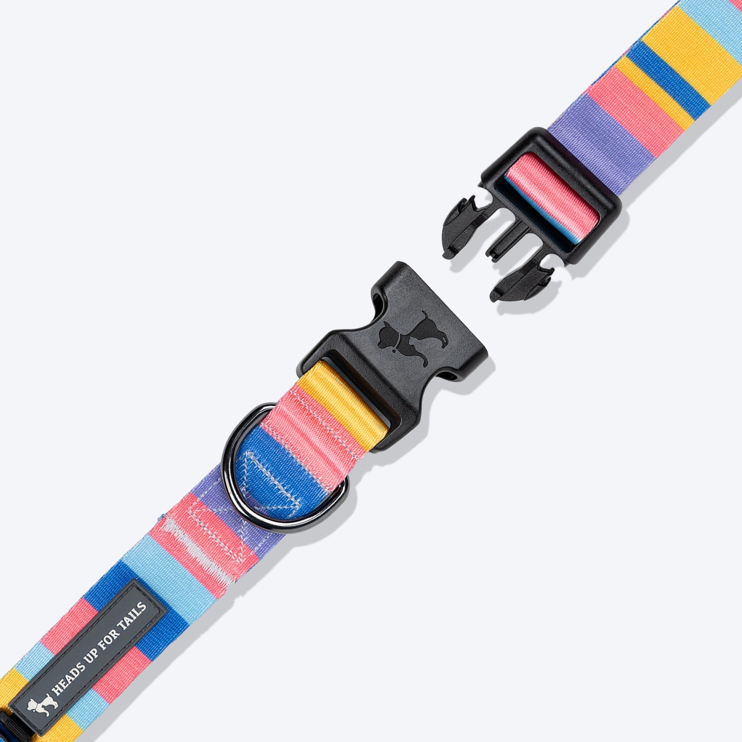 HUFT Spectrum Stripes Collar For Dog - Multicolor