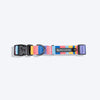 HUFT Spectrum Stripes Collar For Dog - Multicolor - Heads Up For Tails