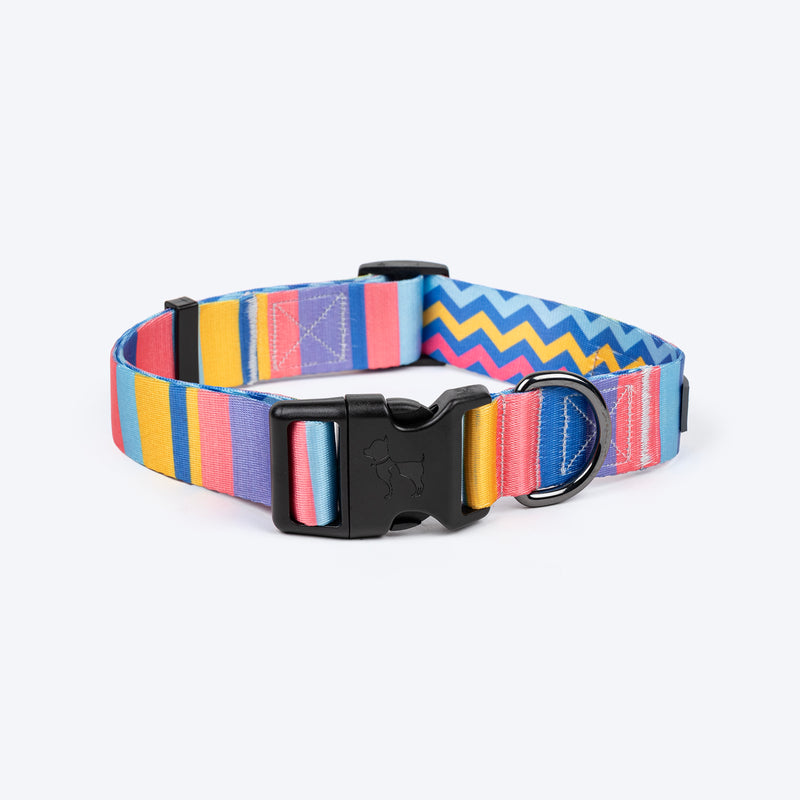 HUFT Spectrum Stripes Collar For Dog - Multicolor - Heads Up For Tails