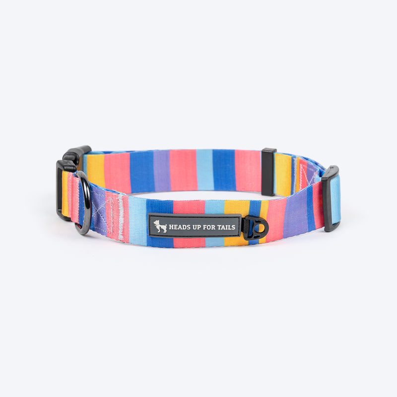 HUFT Spectrum Stripes Collar For Dog - Multicolor - Heads Up For Tails