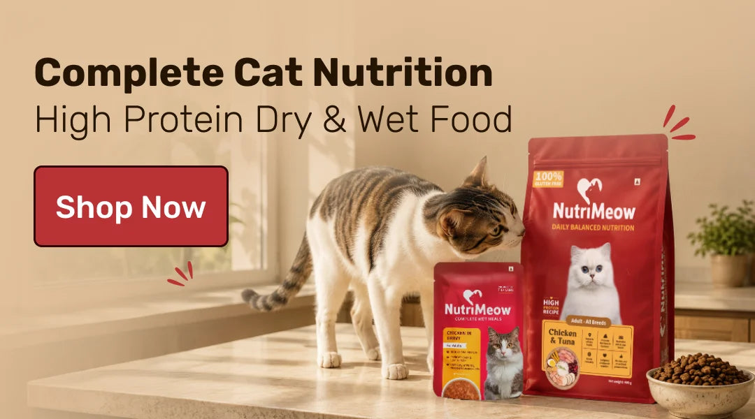 Nutri Meow