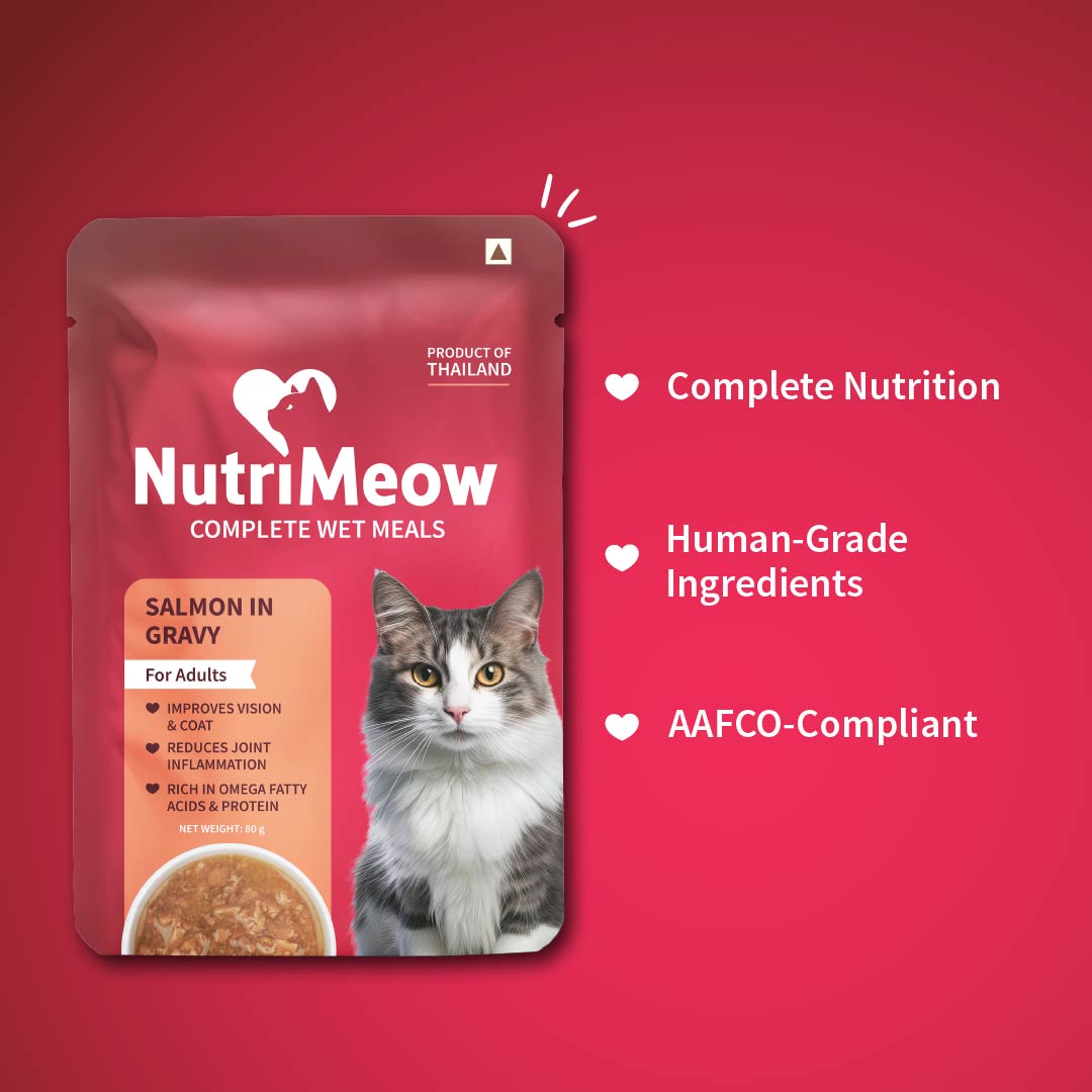 NutriMeow Salmon In Gravy Wet Food For Adult Cat - 80 gm - Heads Up For Tails