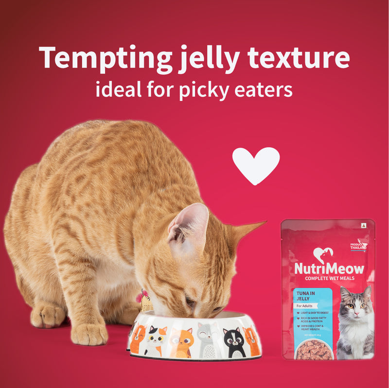 NutriMeow Tuna In Jelly Wet Food For Adult Cat - 80 gm - Heads Up For Tails