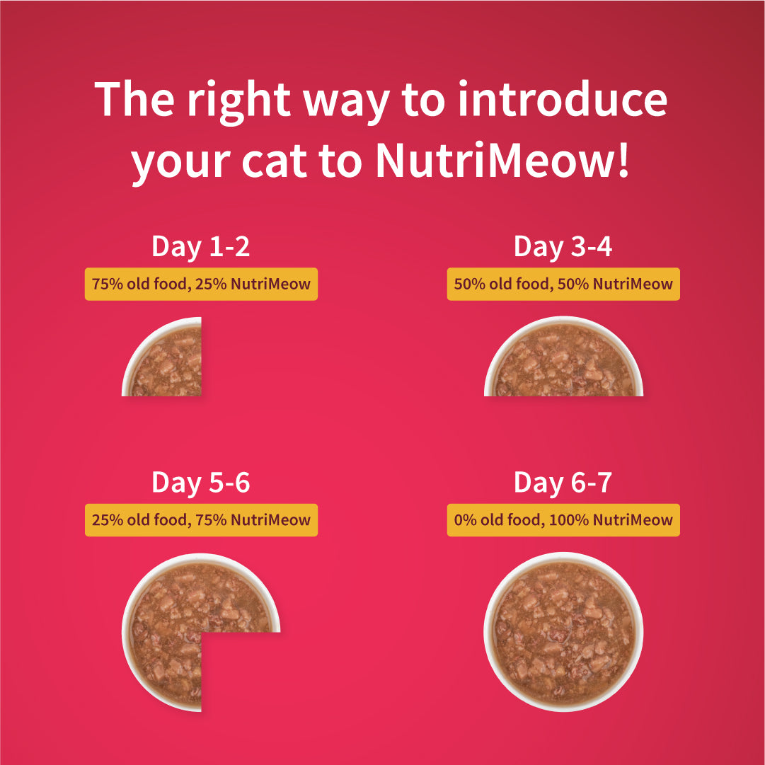 NutriMeow Adult Cat Trial Pack -  Ocean Fish, Chicken, Salmon in Gravy & Tuna in Jelly - (4 x 80 gm) - Heads Up For Tails