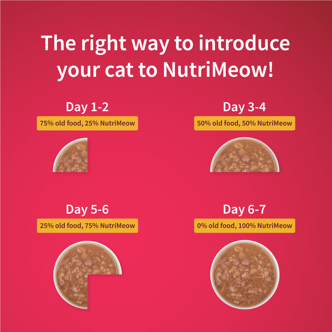 NutriMeow Chicken in Gravy Wet Food For Kitten - 80 gm - Heads Up For Tails