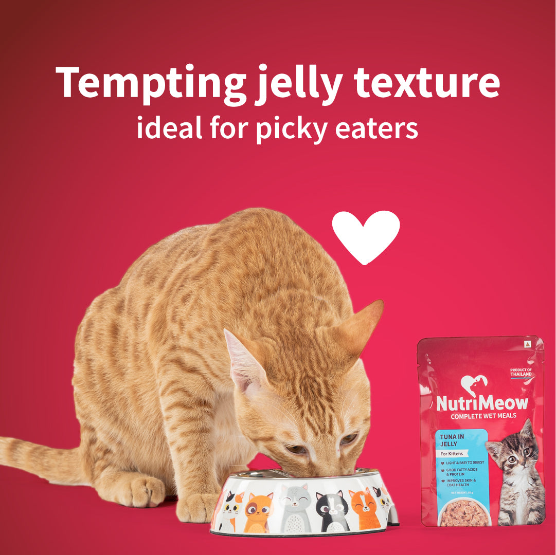 NutriMeow Tuna In Jelly Wet Food For Kitten - 80 gm