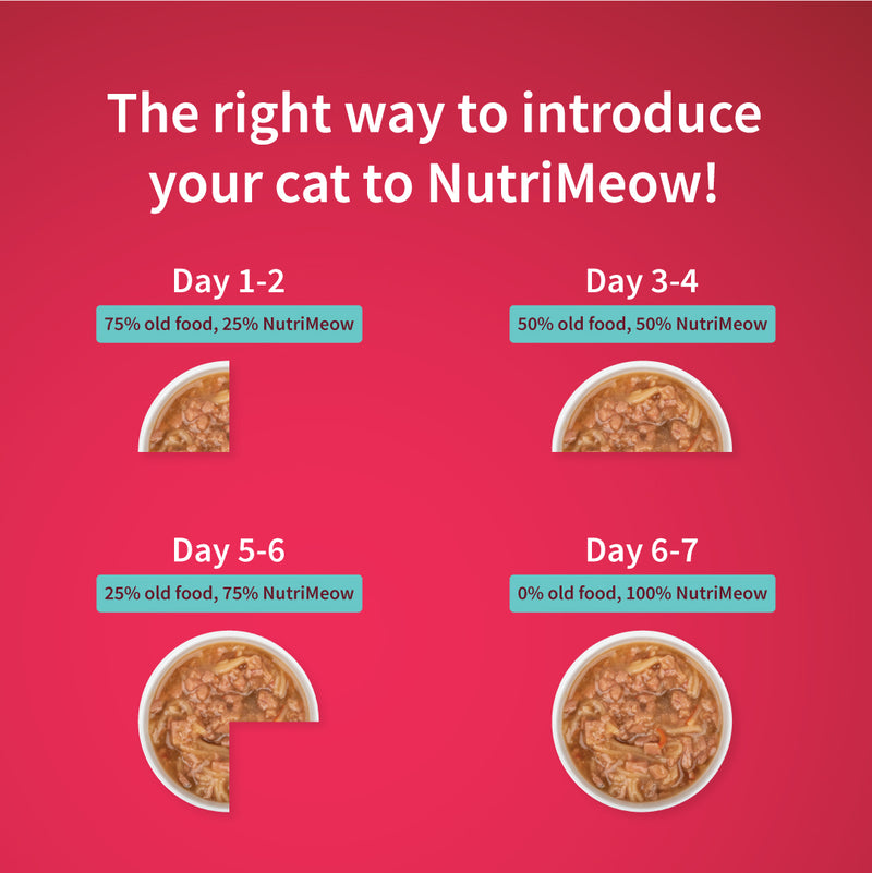 NutriMeow Oceanfish In Gravy Wet Food For Adult Cat - 80 gm - Heads Up For Tails