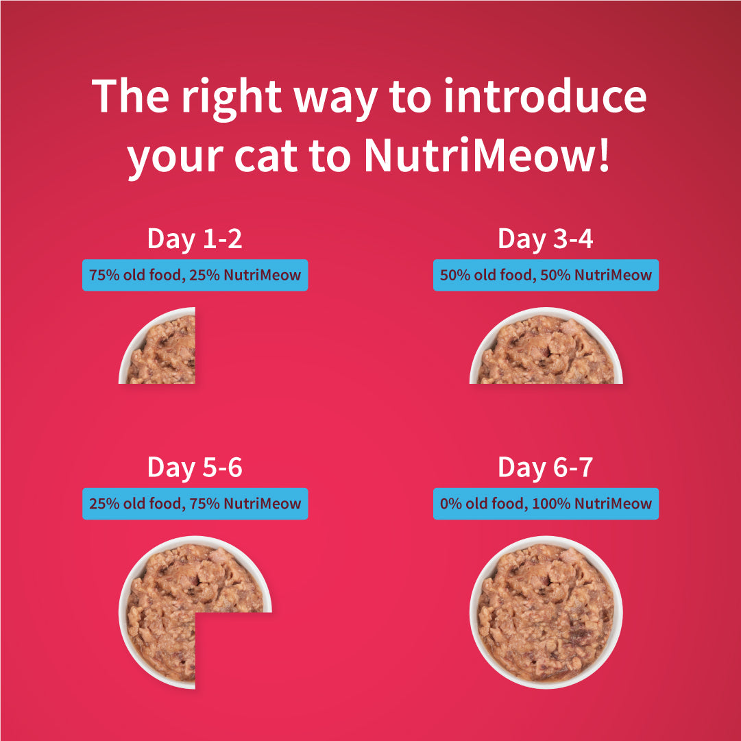 NutriMeow Tuna In Jelly Wet Food For Kitten - 80 gm - Heads Up For Tails