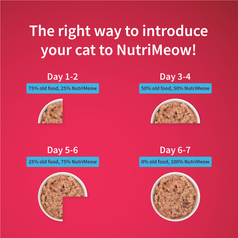 NutriMeow Tuna In Jelly Wet Food For Kitten - 80 gm - Heads Up For Tails