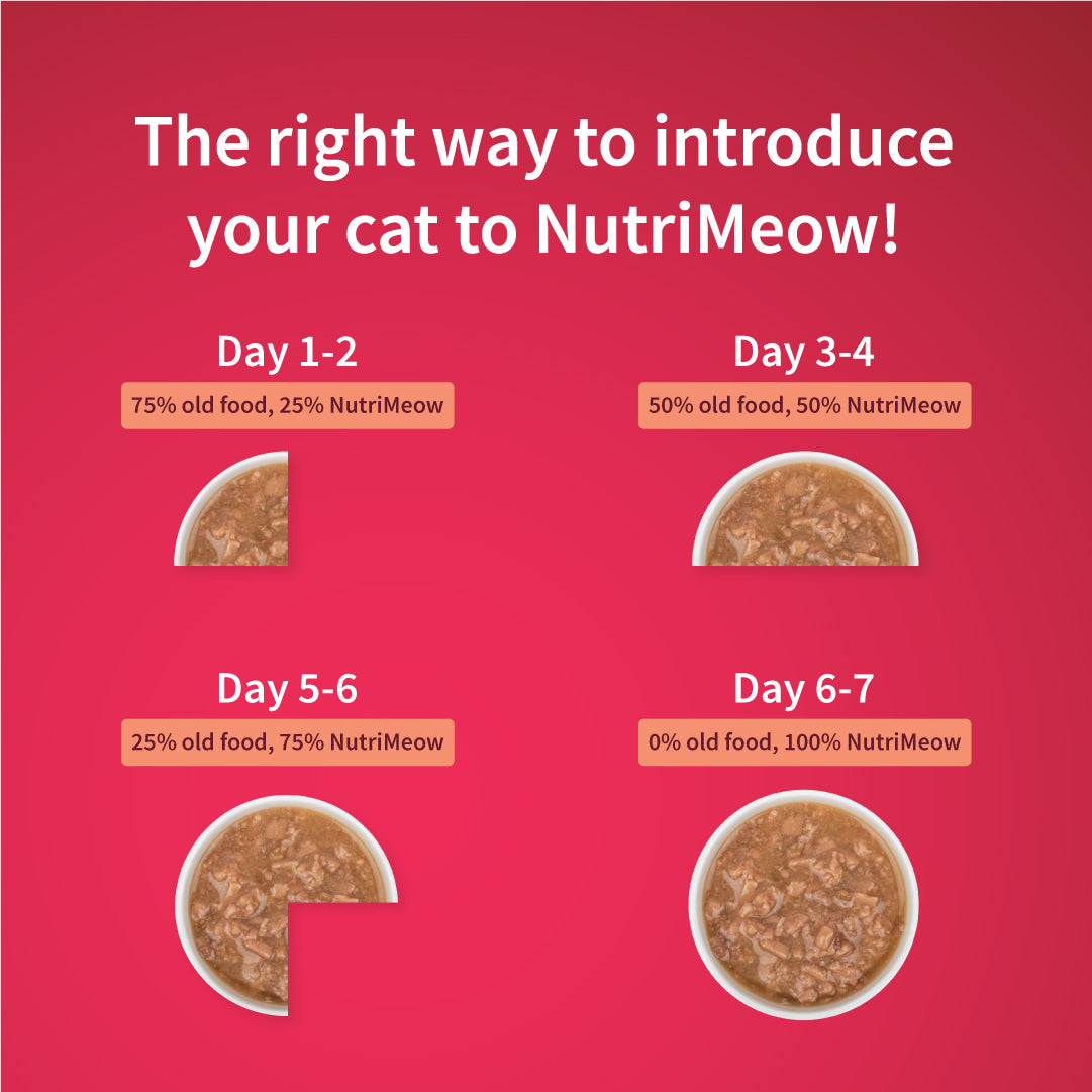 NutriMeow Salmon In Gravy Wet Food For Adult Cat - 80 gm - Heads Up For Tails