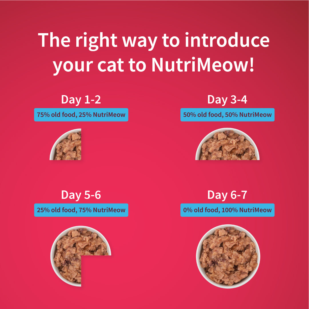 NutriMeow Tuna In Jelly Wet Food For Adult Cat - 80 gm - Heads Up For Tails
