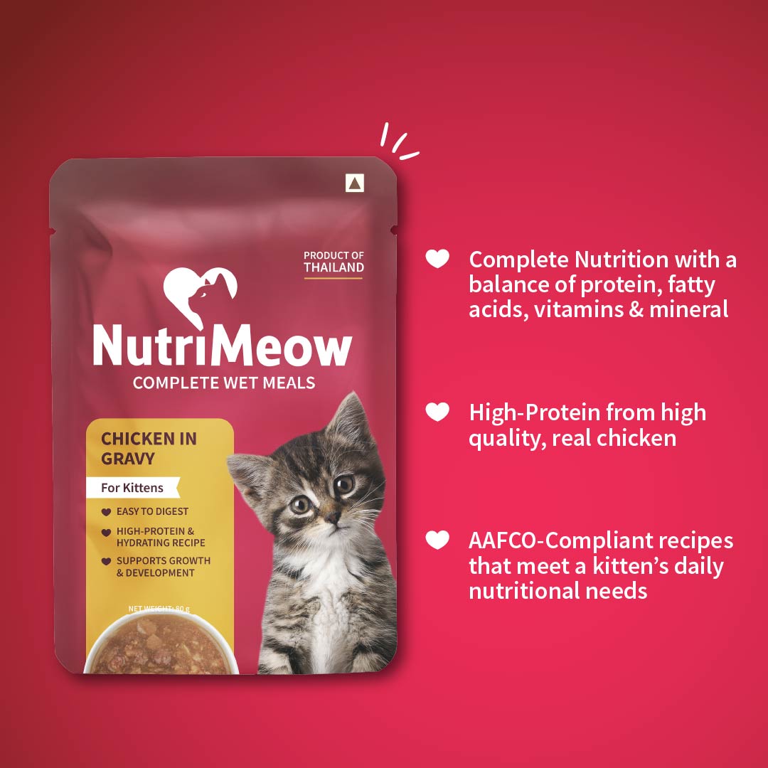 NutriMeow Chicken in Gravy Wet Food For Kitten - 80 gm - Heads Up For Tails