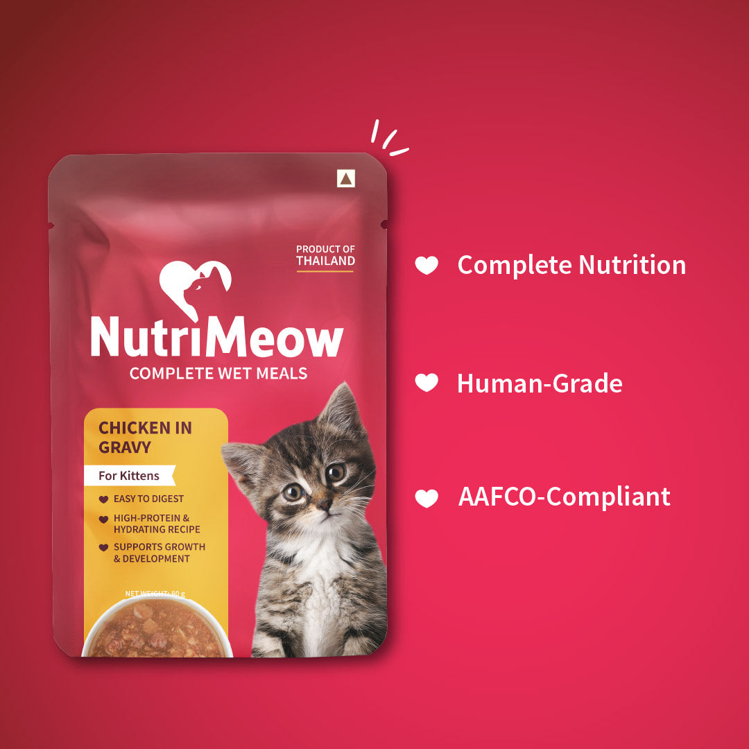 NutriMeow Chicken in Gravy Wet Food For Kitten - 80 gm