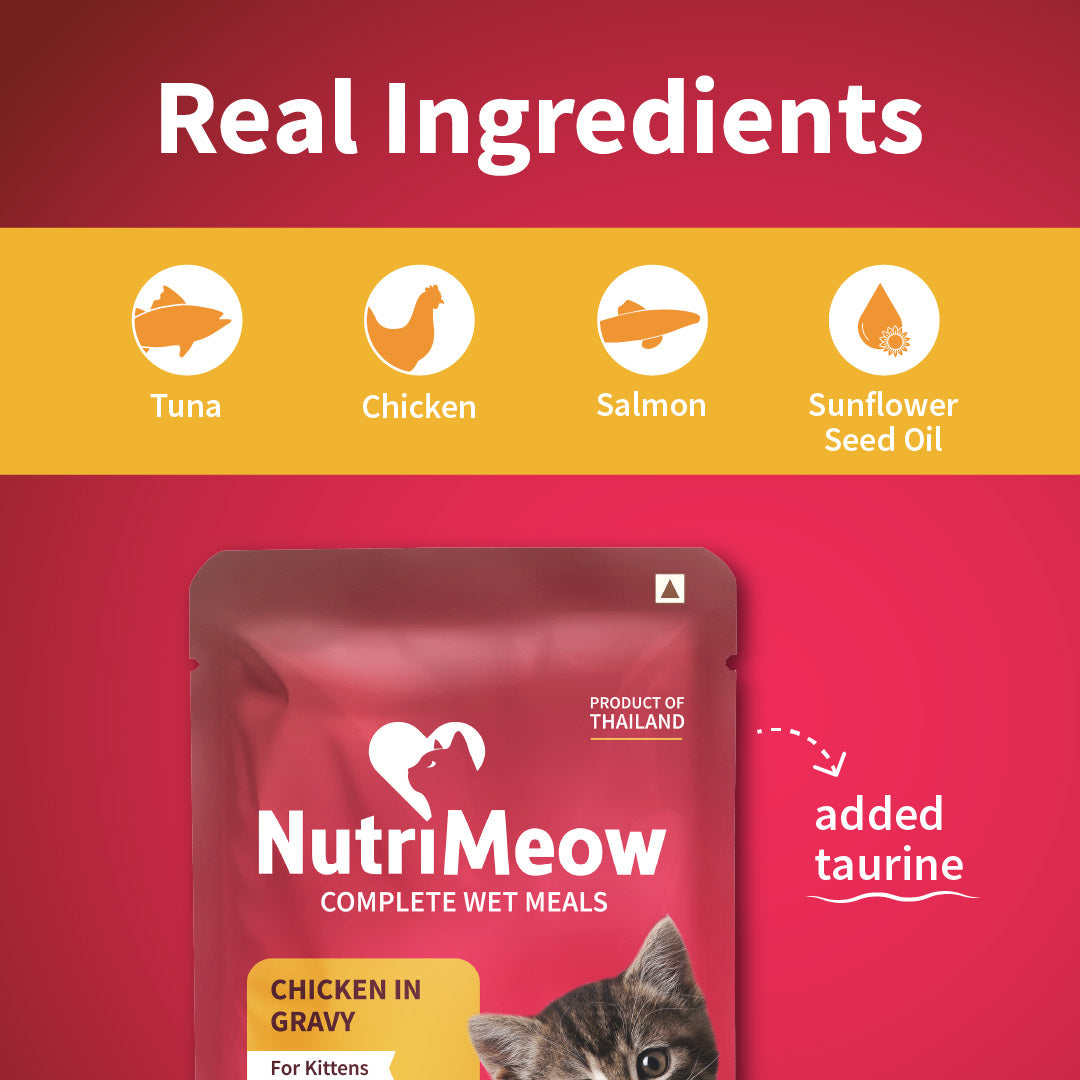 NutriMeow Chicken in Gravy Wet Food For Kitten - 80 gm