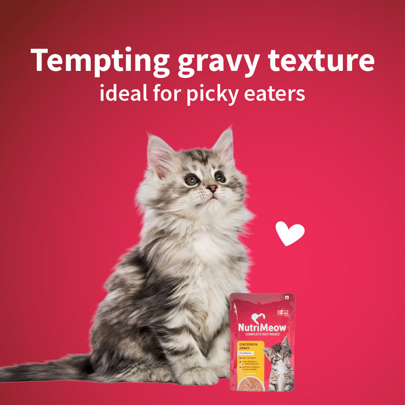 NutriMeow Chicken in Gravy Wet Food For Kitten - 80 gm - Heads Up For Tails