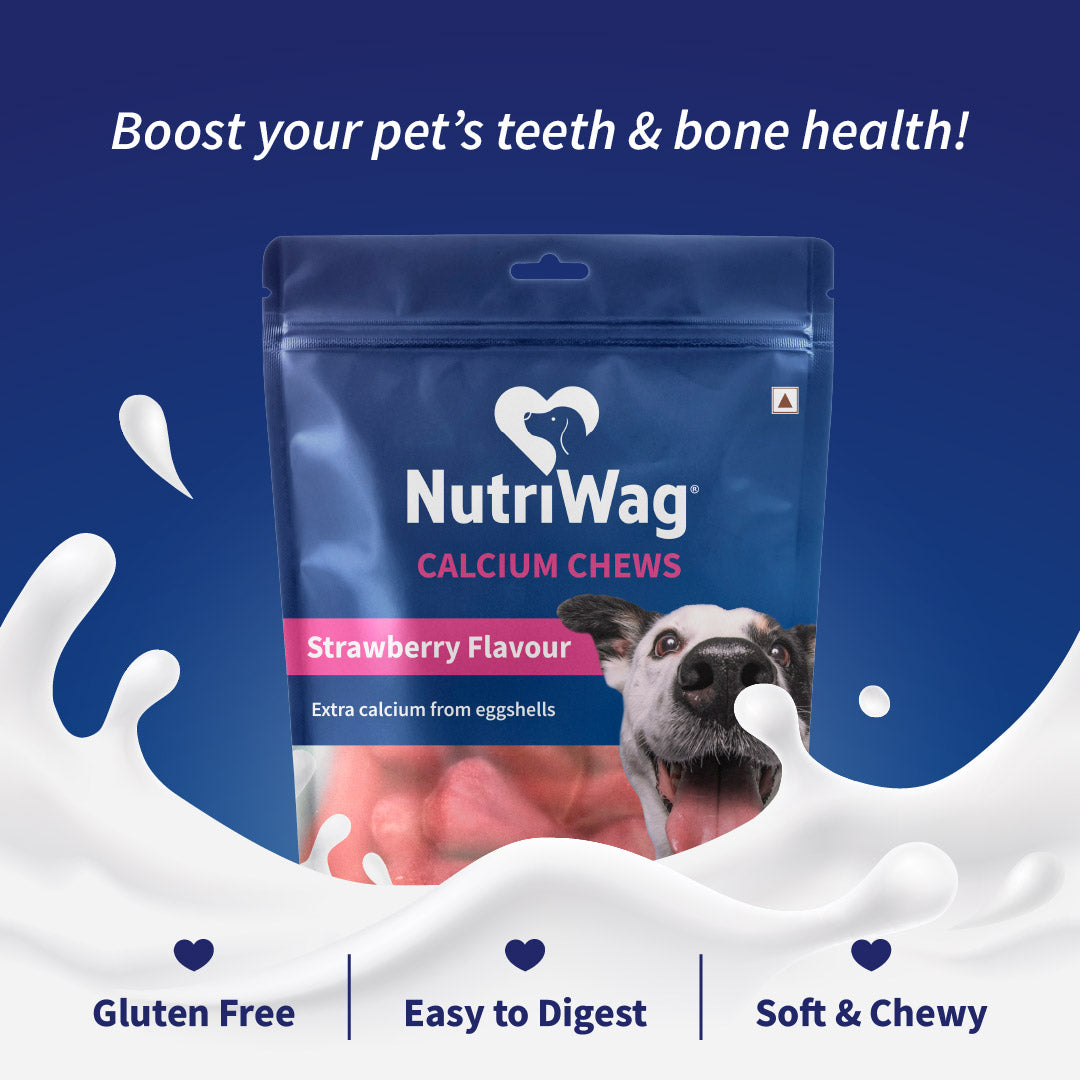 NutriWag Strawberry Calcium Chew Bones Treats For Dog - Heads Up For Tails