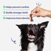 NutriWag Chicken Calcium Chew Bones Treats For Dog - Heads Up For Tails
