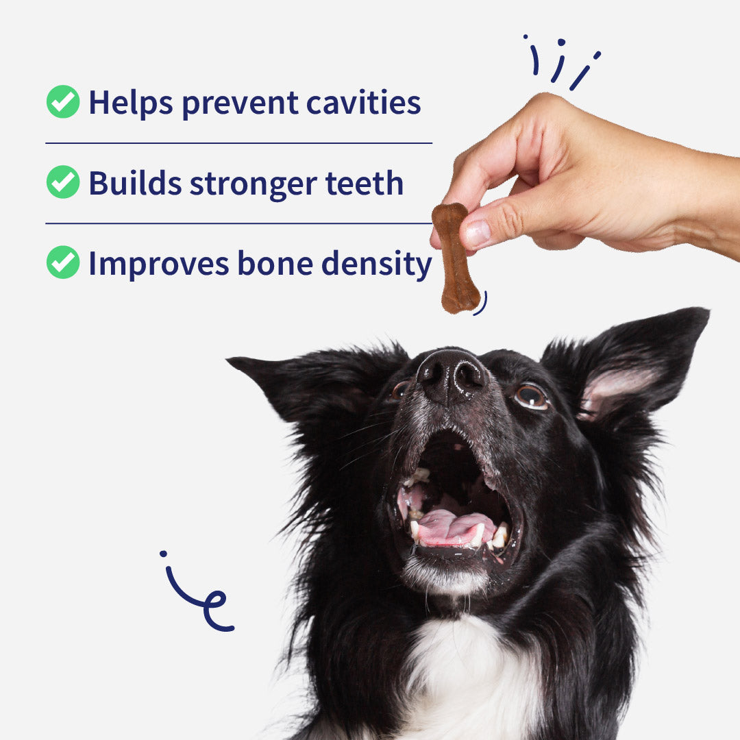 NutriWag Chicken Calcium Chew Bones Treats For Dog - Heads Up For Tails