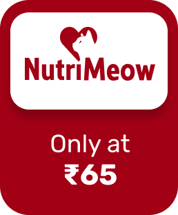 Up to 12%  Off