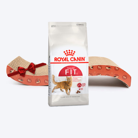 Royal Canin Fit 32 Dry Food & HUFT Scratcher Combo For Cat : Nutrition & Fun Duo - 4 kg