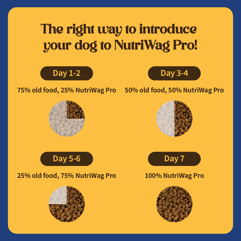 NutriWag Pro Active Chicken & Vegetable Dry Food For Dog - 20 kg - Heads Up For Tails