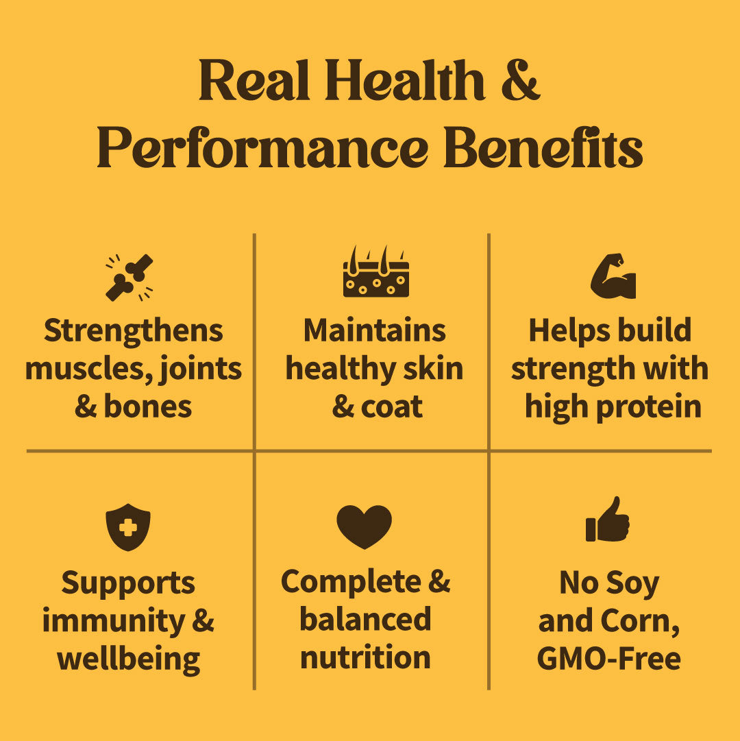 NutriWag Pro Active Chicken & Vegetable Dry Food For Dog - 20 kg