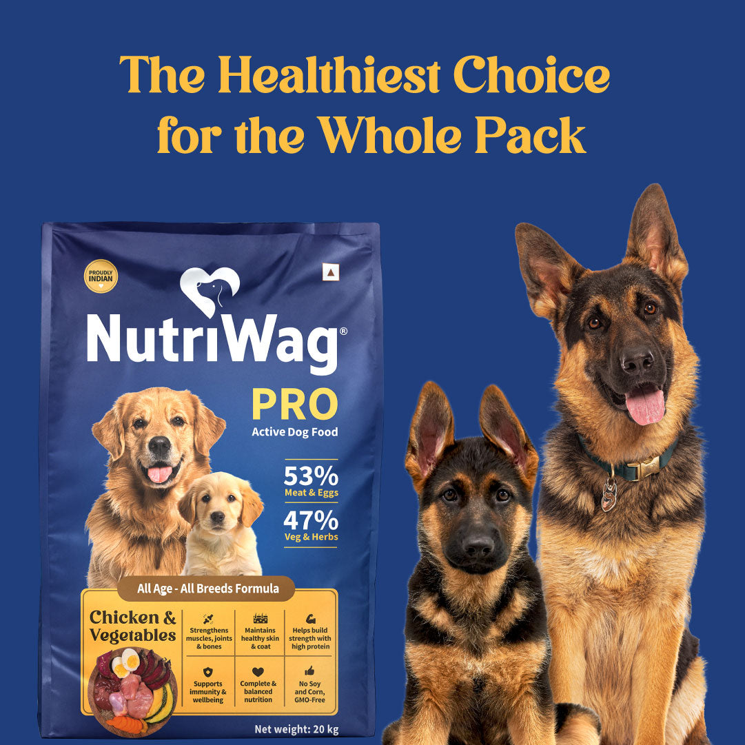 NutriWag Pro Active Chicken & Vegetable Dry Food For Dog - 20 kg