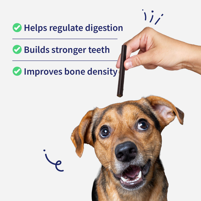 NutriWag Spinach & Cheese Duo Sticks Treats For Dog - 70 gm - Heads Up For Tails