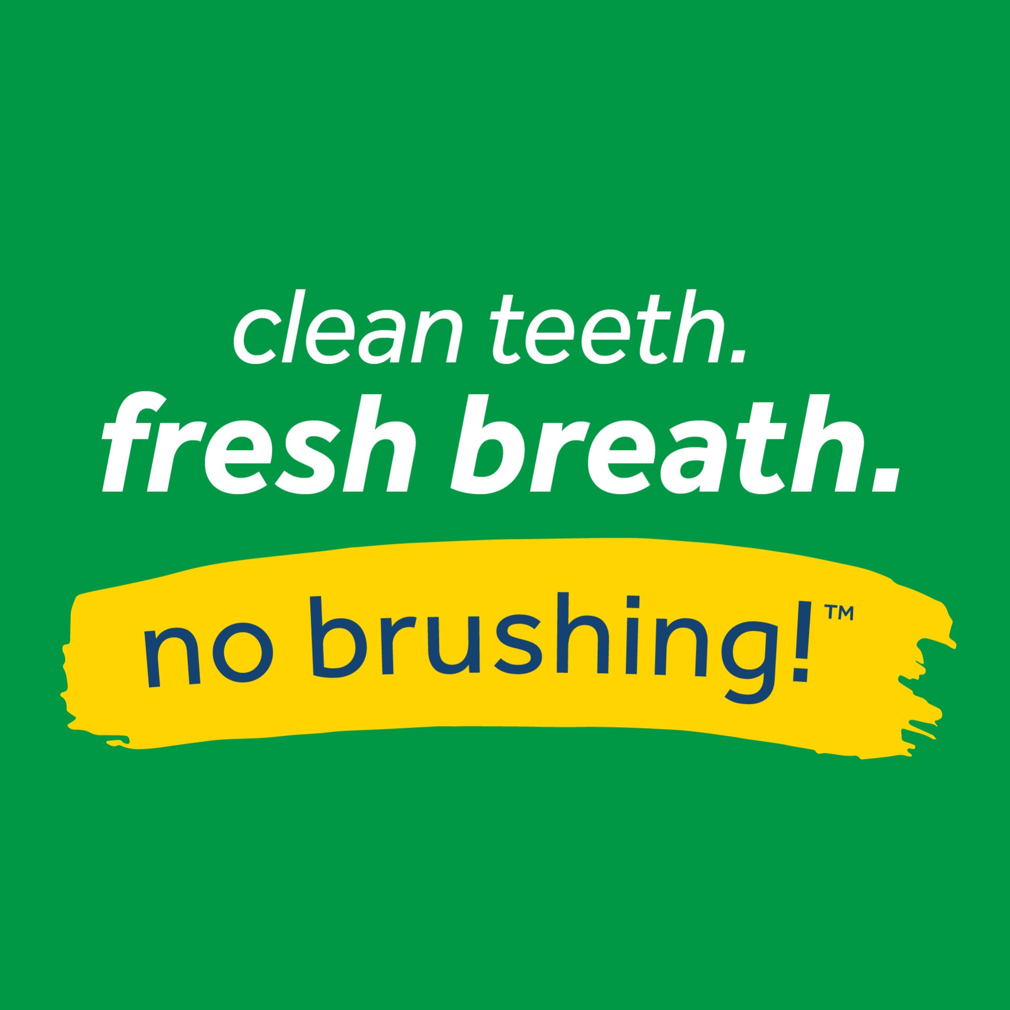 Fresh breath outlet foam