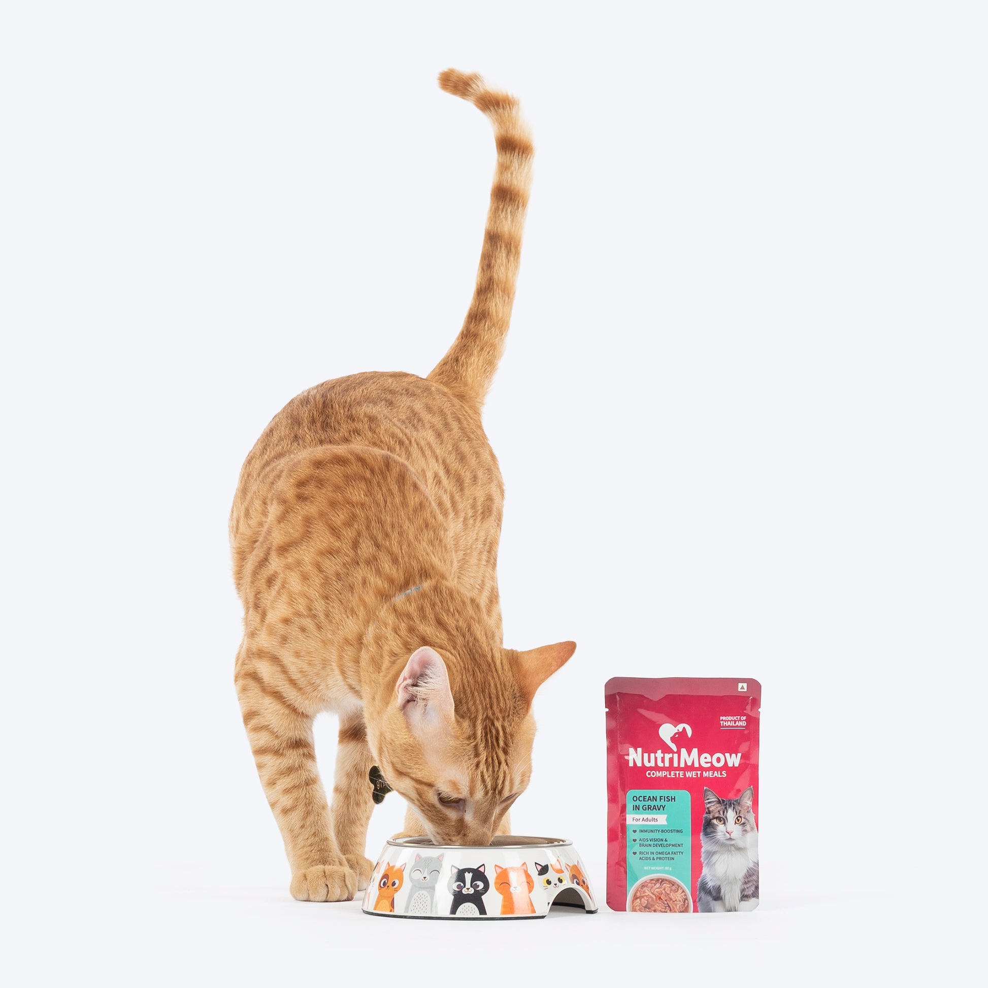 NutriMeow Oceanfish In Gravy Wet Food For Adult Cat - 80 gm - Heads Up For Tails