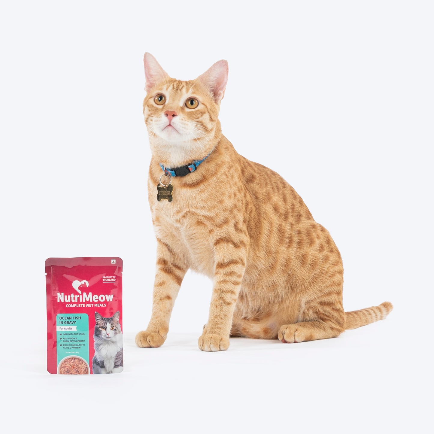 NutriMeow Oceanfish In Gravy Wet Food For Adult Cat - 80 gm - Heads Up For Tails