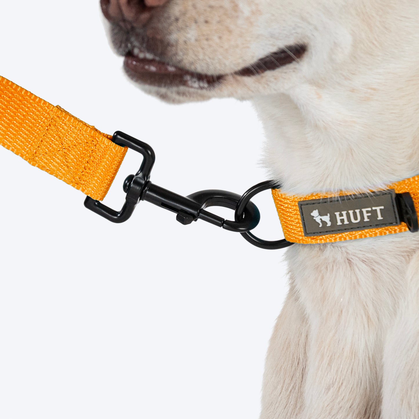 HUFT Basics Dog Collar - Yellow - Heads Up For Tails