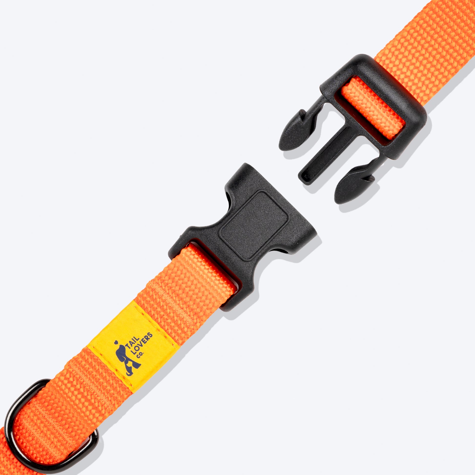 TLC Basic Collar For Dog - Orange - Heads Up For Tails