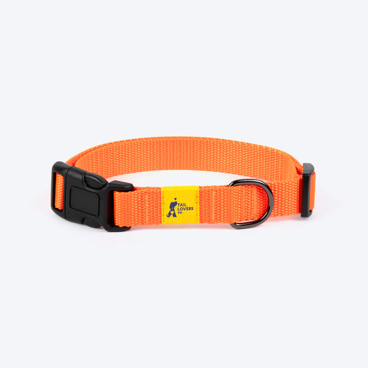 TLC Basic Collar For Dog - Orange - Heads Up For Tails