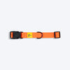 TLC Basic Collar For Dog - Orange - Heads Up For Tails