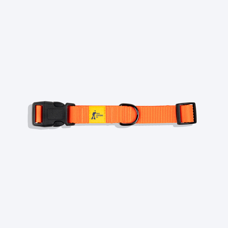 TLC Basic Collar For Dog - Orange - Heads Up For Tails