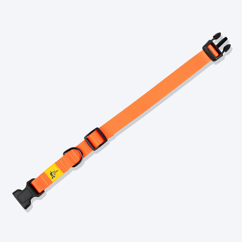 TLC Basic Collar For Dog - Orange - Heads Up For Tails