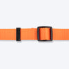 TLC Basic Step-In Harness For Dog - Orange - Heads Up For Tails
