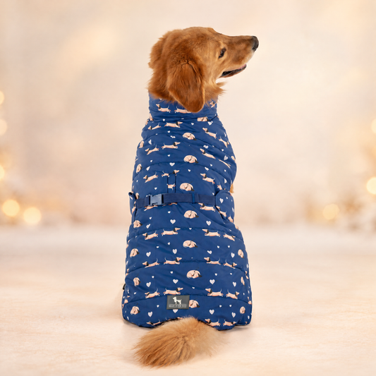 HUFT Doggo Love Jacket For Dog - Blue - Heads Up For Tails