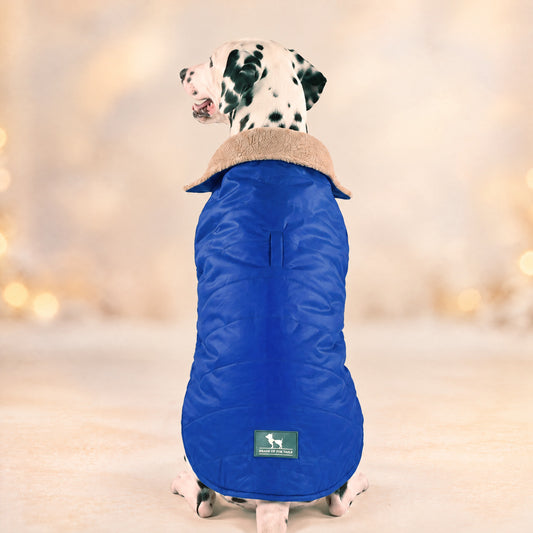 HUFT Winter Song Jacket For Dog - Royal Blue