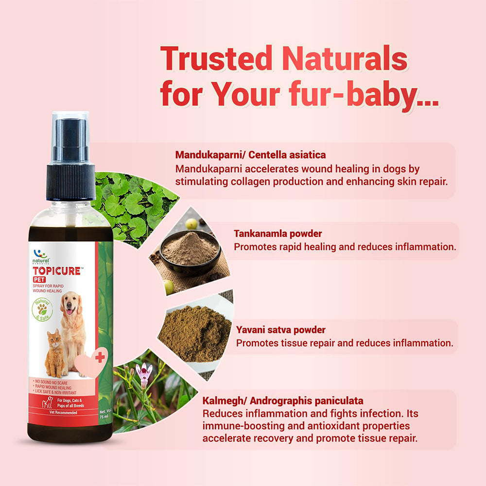 Natural Remedies Topicure Antiseptic Spray For Dog - 75 ml