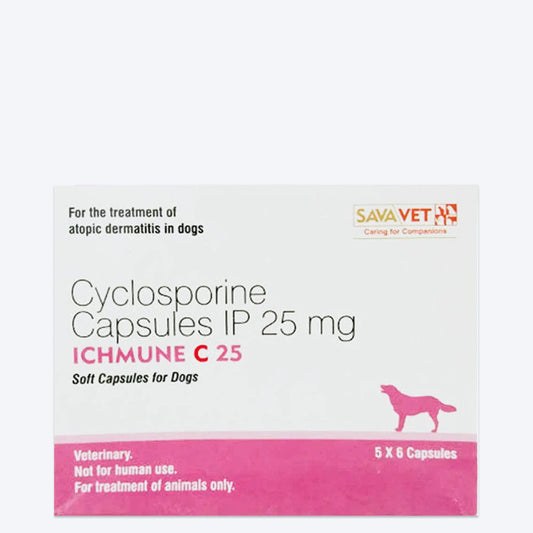 Savavet Ichmune C Tablets For Dog & Cat - 6 Tablets