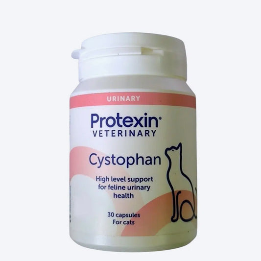 Scientific Remedies Cystophan Urinary Health Support For Cat - 30 Capsules