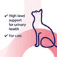 Scientific Remedies Cystophan Urinary Health Support For Cat - 30 Capsules